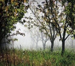 The new softer pesticides have reduced re-entry times for workers from as much as 14 days to four hours. By Zach Mazur