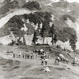 A photograph of Cascade Pass taken in 1916 shows that the area is relatively lush today, likely indicating warming. Photograph by L.D. Lindsley, 1916 Rinehart party, catalog #NOCA 19526, collection of North Cascades National Park Service Complex. Courtesy National Park Service.