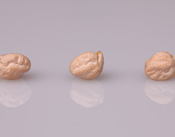 Chickpeas. Robert Hubner
