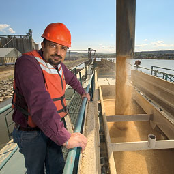 Kulvinder Gill, WSU’s O.A. Vogel Chair in Wheat Breeding and Genetics, is working
to extend farm improvements he saw as a child in India. <em>Robert Hubner</em>
