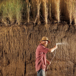 For Jerry Glover (’01 PhD Soil Science), agriculture’s brightest future is below ground in the saved soil and powerful root systems of perennial grains he is helping develop. <em>Jim Richardson</em>