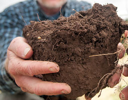 Craig Cogger holds a chunk of soil. Zach Mazur