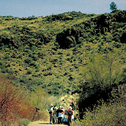 Educational field day Cowiche Canyon Conservancy near Yakima. <em>Staff photo</em>
