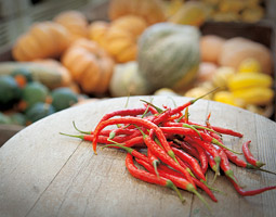 Tonnemakers&rsquo; peppers, pumpkins, and squash. <em>Zach Mazur</em>