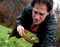 Farm to table pioneer Mark Musick in his kitchen garden. <em>Zach Mazur</em>