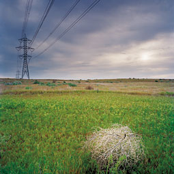 “Near Gate 110A” from “Chain Reaction: Circum-navigating the Hanford Nuclear Reservation” <em>Zach Mazur</em> “Near Gate 110A” from “Chain Reaction: Circum-navigating the Hanford Nuclear Reservation” <em>Zach Mazur</em>