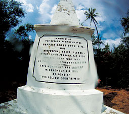Fish abound in the protected waters of Kealakekua Bay, home of the Capt. Cook monument. <em>Staff photo</em>