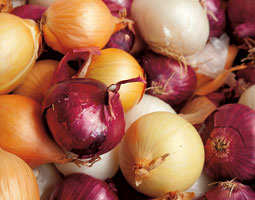Onions for Sale <em>istockphoto</em>