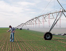 Whether Brad Bailie '95 irrigates by boom sprinklers or drip irrigation, his water has to come from deep wells since the East Low Canal of the Columbia Basin Project ends just a few miles from his farm. Photo Zach Mazur