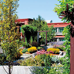 The Horticulture and Landscape Architecture Display Garden next to French Administration. Emily Smudde/WSU News