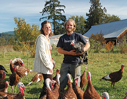 Whatcom County farmers Anna and Geoff Martin say the difficult Brussels sprout is worth the effort. After years of struggling with the “prima donna of the farm,” they found a delicious variety that does well in their climate. The Martins willingly share what they’ve learned, welcoming WSU Small Farms program tours to their Osprey Hill Farm. <em>Courtesy Osprey Hill Farm</em> Whatcom County farmers Anna and Geoff Martin say the difficult Brussels sprout is worth the effort. After years of struggling with the “prima donna of the farm,” they found a delicious variety that does well in their climate. The Martins willingly share what they’ve learned, welcoming WSU Small Farms program tours to their Osprey Hill Farm. <em>Courtesy Osprey Hill Farm</em>