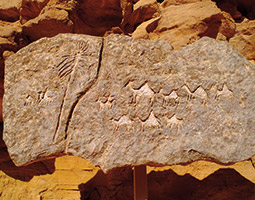 Prehistoric rock art depicting Nabataen trading caravan—eighteenth century B.C.E. Photo Avi Horovitz Prehistoric rock art depicting Nabataen trading caravan—eighteenth century B.C.E. Photo Avi Horovitz