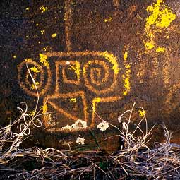 Native American petroglyph in central Arizona, approximately 1000-1200 CE. By Ekkehart Malotki, Professor Emeritus of Languages at Northern Arizona University. Ellen Dissanayake is currently collaborating with Malotki and others to investigate the oldest rock art paintings and engravings in the American West.