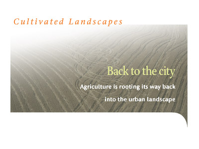 Back to the City: Agriculture is rooting its way back into the urban landscape