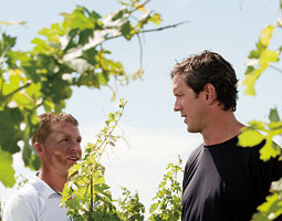Drew Bledsoe and Chris Figgins '96 in vineyards. Robert Hubner