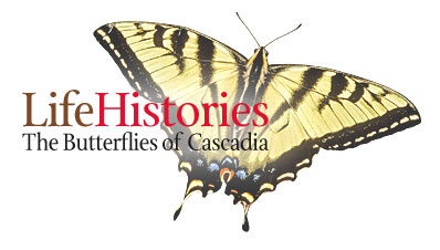 Life Histories: The Butterflies of Cascadia