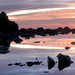Ozette