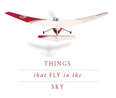 Things that Fly in the Sky