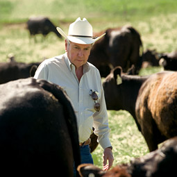 'I don't think you can have a sustainable system without integrating animals with plants,' says WSU Extension beef specialist Don Nelson. 'That is the way nature intended it.' Nelson advocates a decision-making process called holistic management, which focuses on the functioning of ecosystem processes--including community dynamics--when managing natural resources such as rangeland.