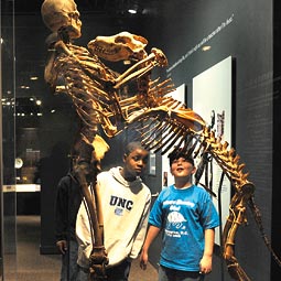 The skeletons of Krantz and Clyde
