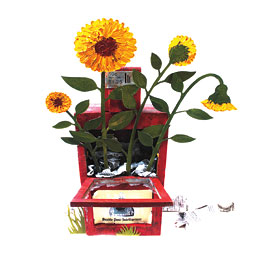 Life after newspapers illustration by David Wheeler