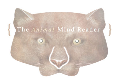 The Animal Mind Reader