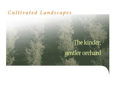 The kindler, gentler orchard