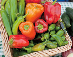 Organic vegetables. Robert Hubner
