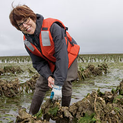 Coast Seafoods CFO Kay Cogan '79 visits oyster beds frequently in Willapa Bay. Coast is the largest oyster producer in the country.
