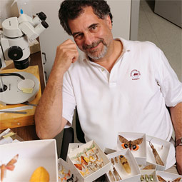 James Entomology Collection director Rich Zack, with a few of the 30,000 specimens he collected in Guatemala in collaboration with Peter Landolt '78, Ph.D. Entomology of the USA and colleagues at the Universidad del Valle de Guatemala. Their survey of insect diversity in high elevation habitats in Guatemala is funded by the Maurice T. and Helen James Endowment.