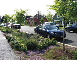Pervious pavement in Seattle. Pervious pavement in Seattle.
