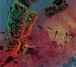 To Err is Human - Chromosome image courtesy Ceska/Background art by DZGNBio