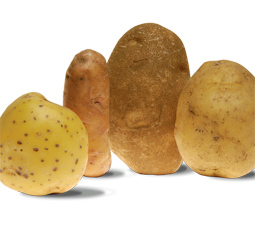 Potatoes.