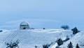 Jewett Observatory 2009.jpg