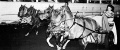 1963Chinook chariot race.jpg