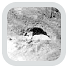 Big Idea 7: Marmes man. Even an improvised dike could not protect the Marmes rock shelter from the rising water of the Lower Monumental Dam. WSU Museum of Anthropology