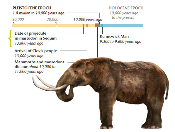 Infographic: Timeline of mastodon discovery and early human settlers